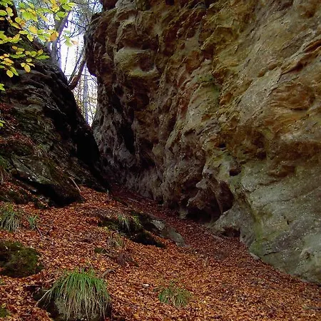 Hotel De La Station Scheidgen