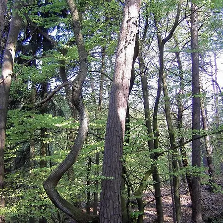 De La Station 4* Scheidgen