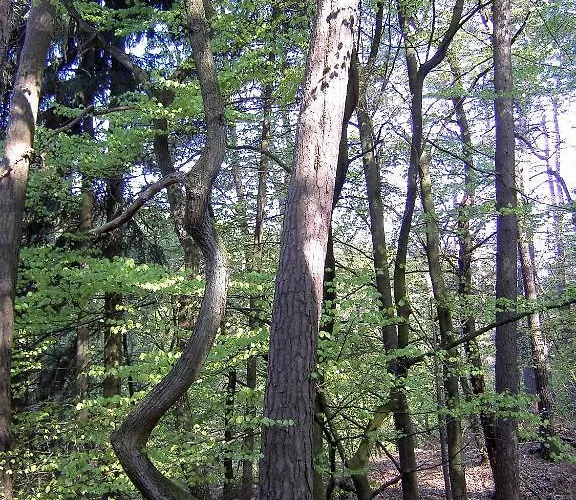 De La Station 4* Scheidgen