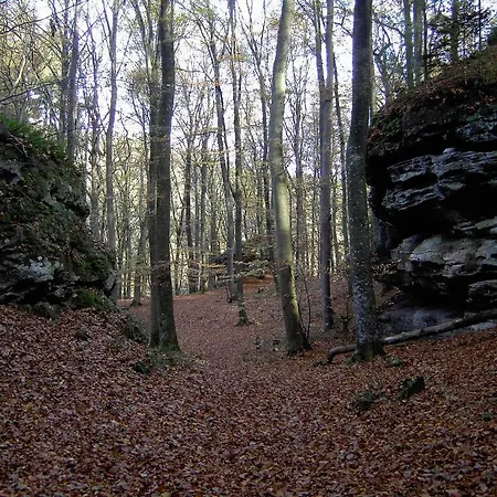 De La Station Scheidgen