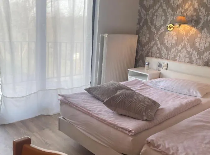 Otel De La Station Scheidgen