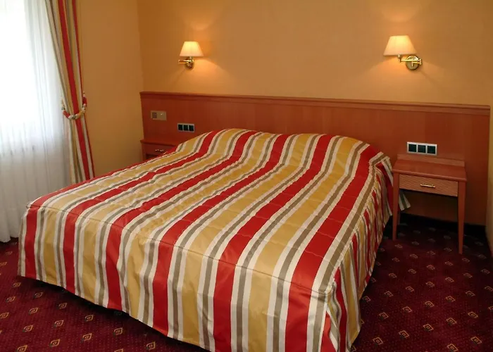 Otel De La Station Scheidgen