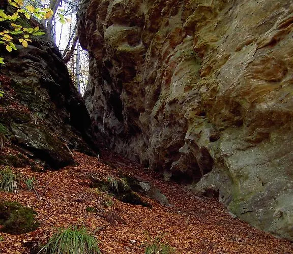 Otel De La Station Scheidgen