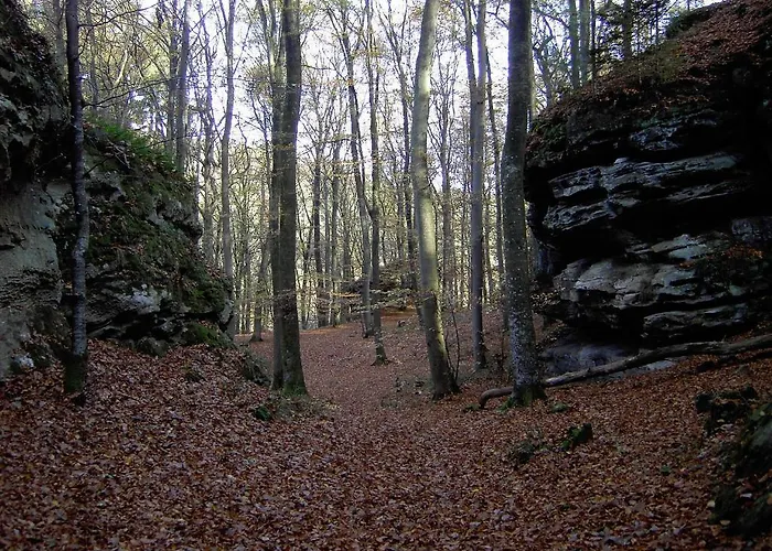 De La Station Scheidgen